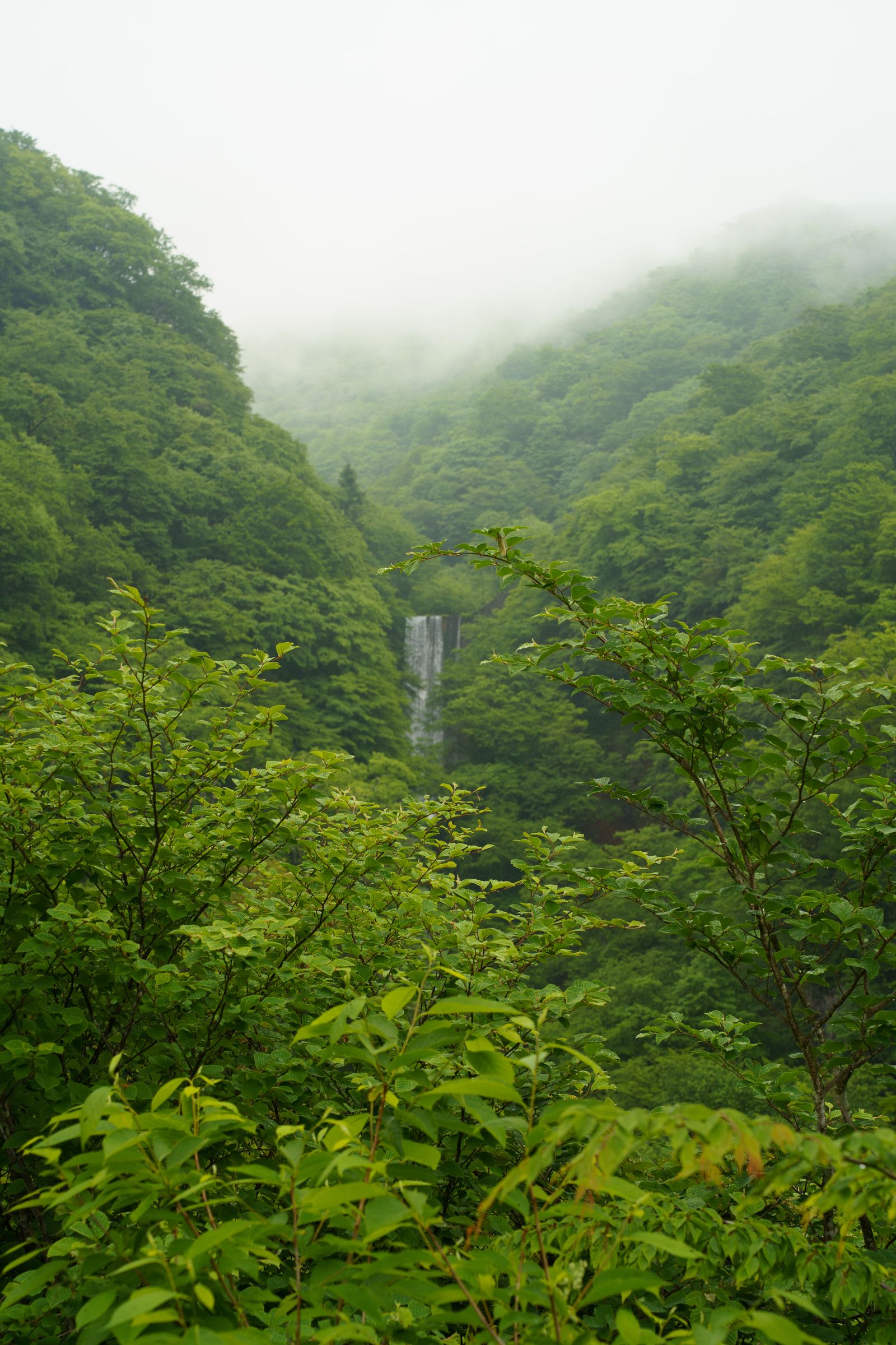 山あいの滝と清流
